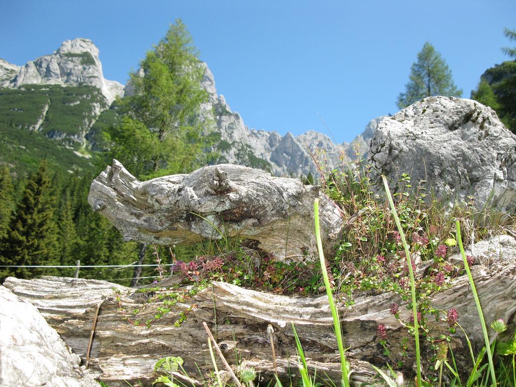 Apartamento Hausmenneweger Annaberg im Lammertal Habitación foto